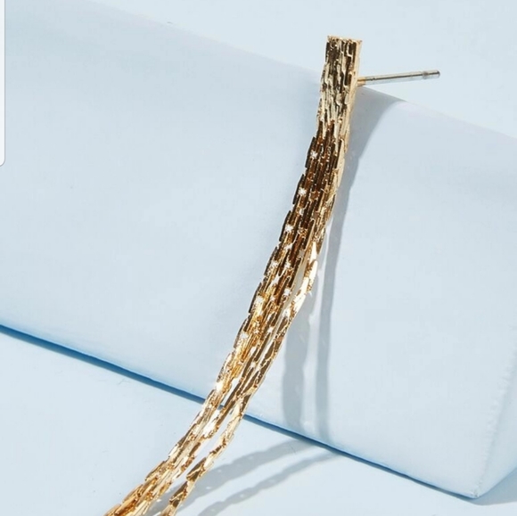 *Imani* Chain Tassle Earrings - Picture 4 of 4